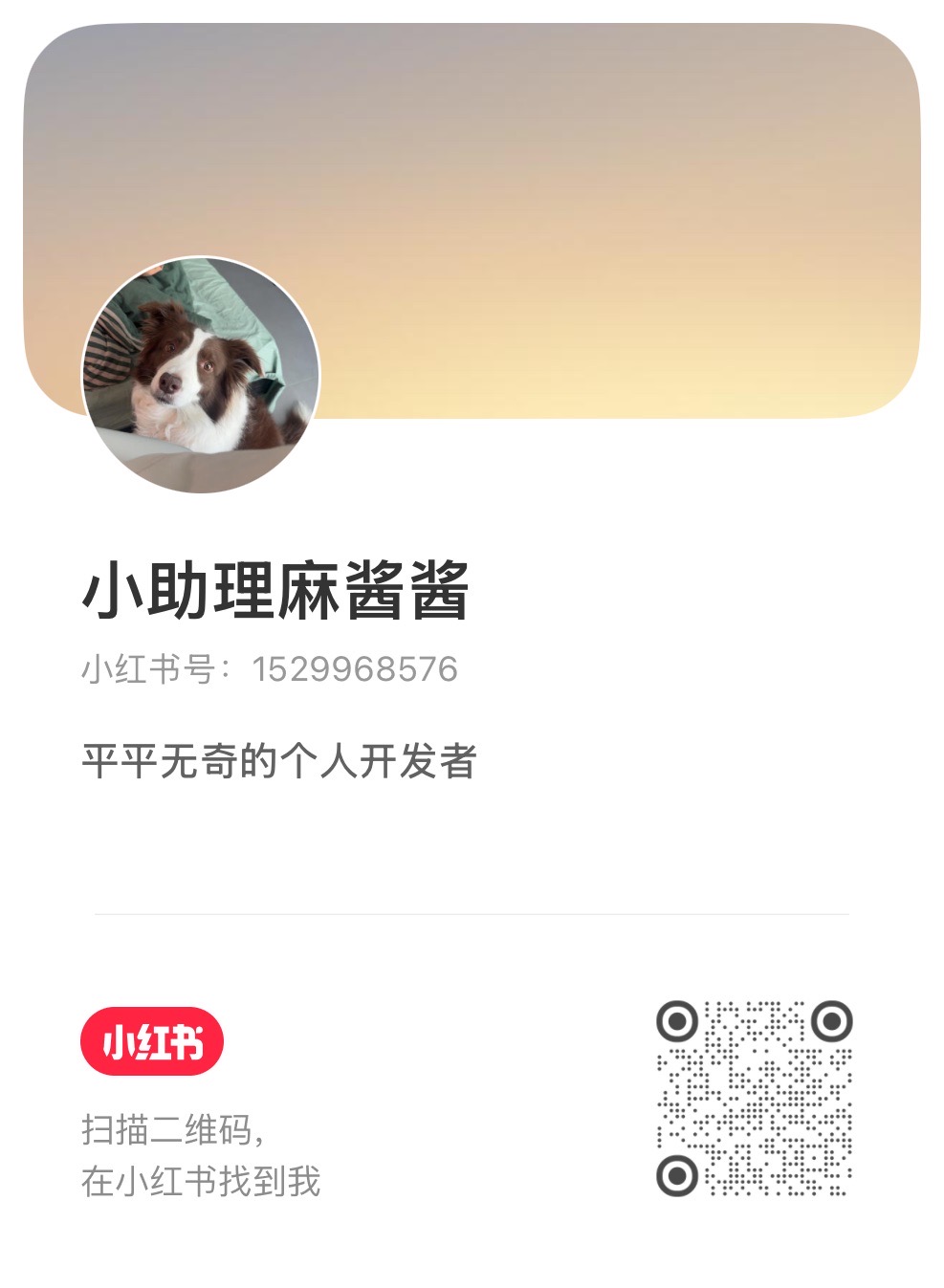 小红书二维码